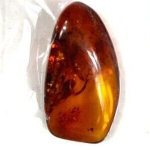 Two Amber Amulet Talisman Pieces